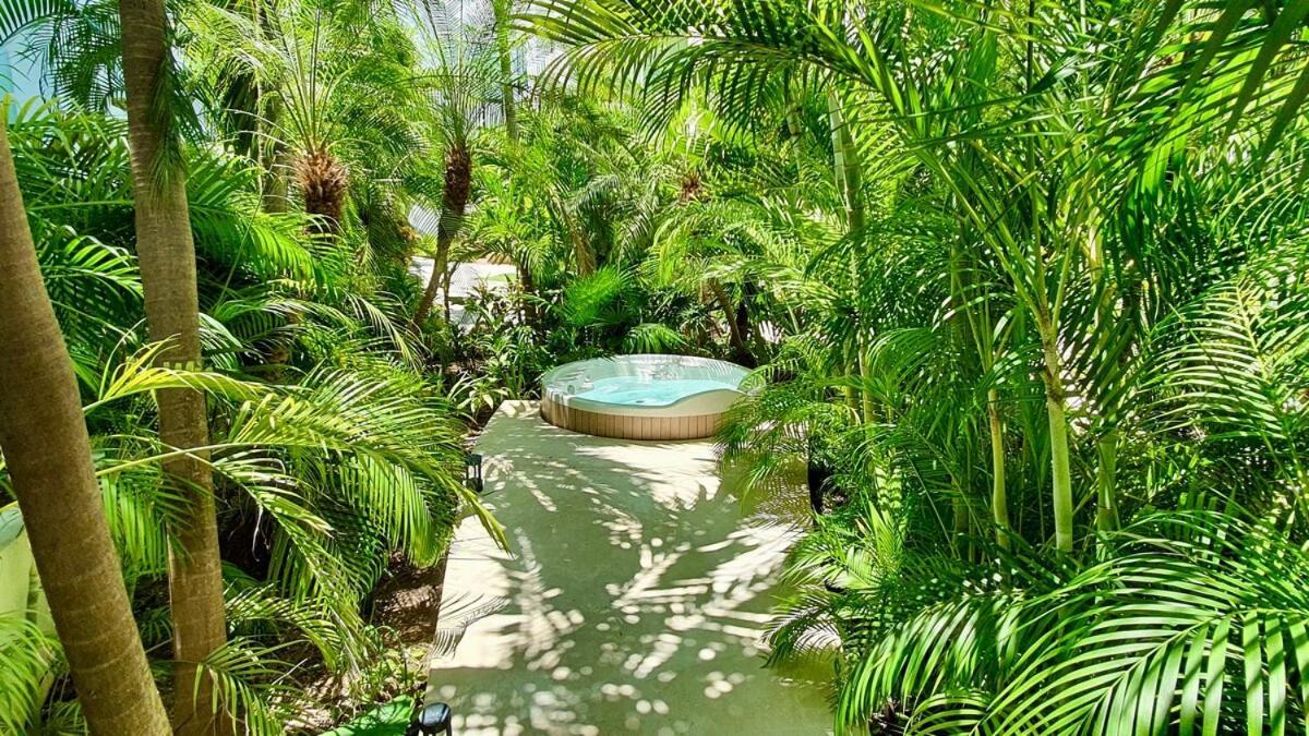 Apartamento Penthouse Terrace Excellet Wifi Downtown Playa del Carmen